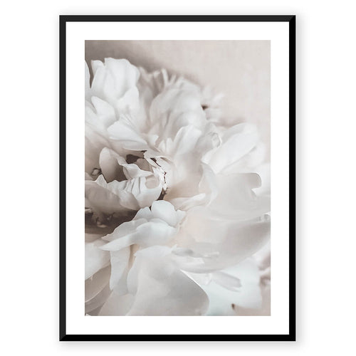 Nordic Peace Petals
