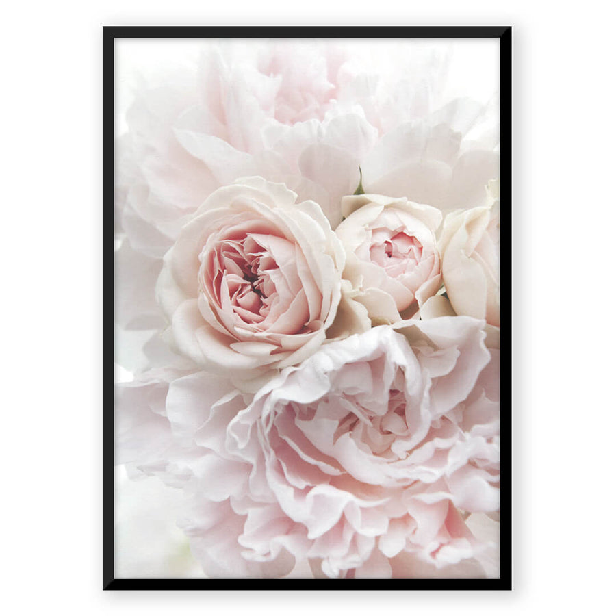 Nordic Peace Pink Flower