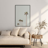 Nordic Peace Queen Palm, view 3