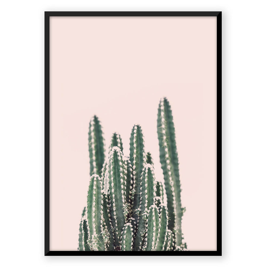 Nordic Peace Rising Cactus