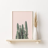 Nordic Peace Rising Cactus, view 2