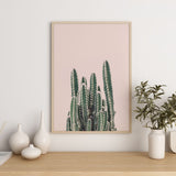 Nordic Peace Rising Cactus, view 6