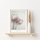 Nordic Peace Pivoine Rose, view 2