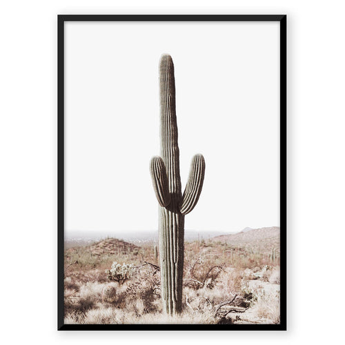 Nordic Peace Saguaro Cactus