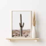 Nordic Peace Saguaro Cactus, view 2