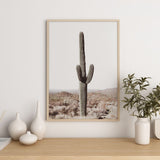 Nordic Peace Saguaro Cactus, view 6