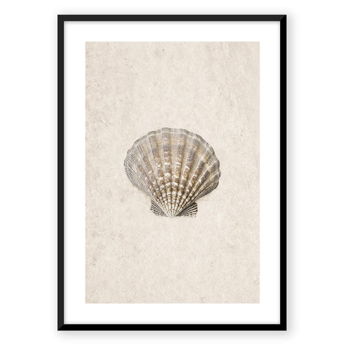 Nordic Peace Sea Shell