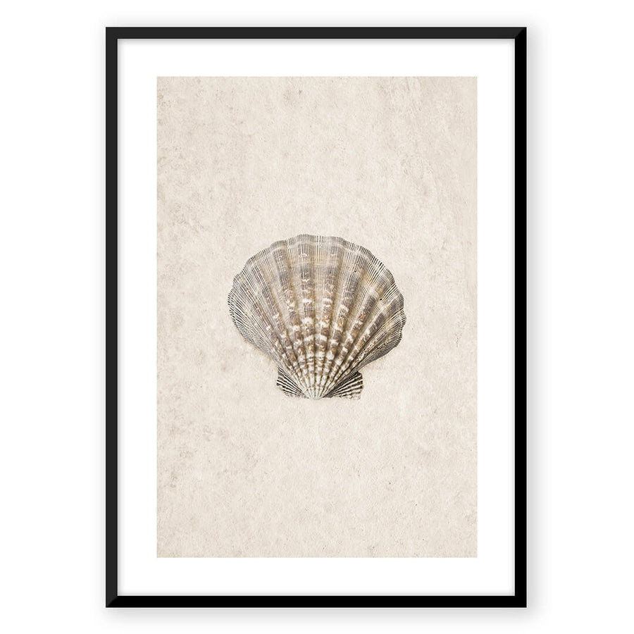 Nordic Peace Sea Shell