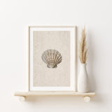 Nordic Peace Sea Shell, view 2