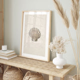 Nordic Peace Sea Shell, view 3
