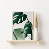 Nordic Peace Tropical Monstera, view 2