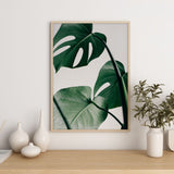 Nordic Peace Tropical Monstera, view 4