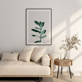 Nordic Peace Tulsi, view 3