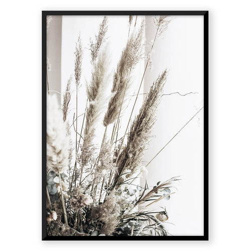 Nordic Peace Variety