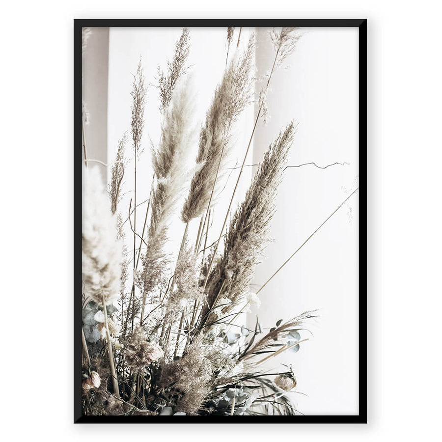 Nordic Peace Variety