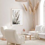 Nordic Peace Variety, view 4