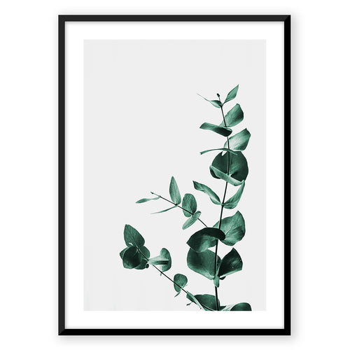 Nordic Peace Wildflower