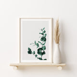 Nordic Peace Wildflower, view 2