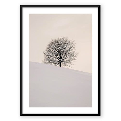 Nordic Peace Winter