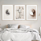 Nordic Peace Zen Shells, view 2