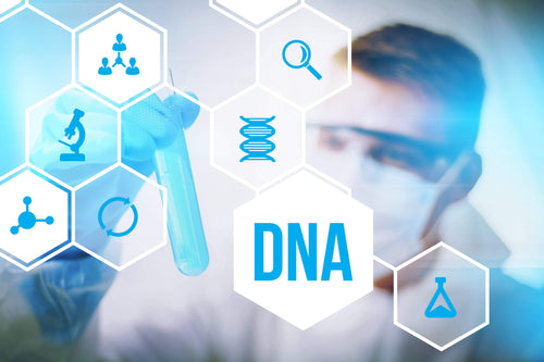 NuVision Health Center Nutrigenomics DNA Test
