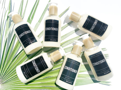 Organic to Green Conditioner - Wholesale Rain Collection - Case of 12
