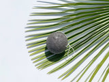 Organic to Green Konjac Face Exfoliating Sponge - Charcoal, view 2