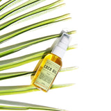 Organic to Green Liquid Coconut Oil Ginger - Healing Coco Oil, view 6
