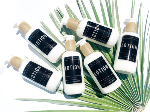 Organic to Green Lotion - Wholesale Rain Collection - Case of 12