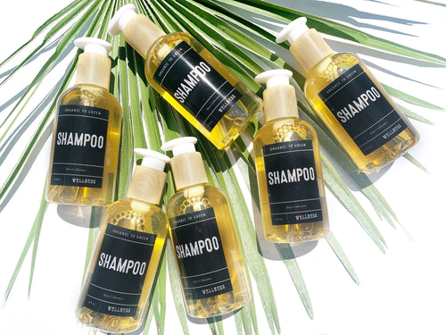 Organic to Green Shampoo - Wholesale Rain Collection - Box of 12