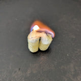Outdoor Element Fire Tinder Tabs 15-pack, view 4