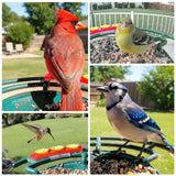 PerchMe Smart AI Bird Feeder & Pole Bundle - Solar-Powered 2K AI Camera + Heavy-Duty Adjustable Squirrel-Proof Bird Feeder Pole, view 3