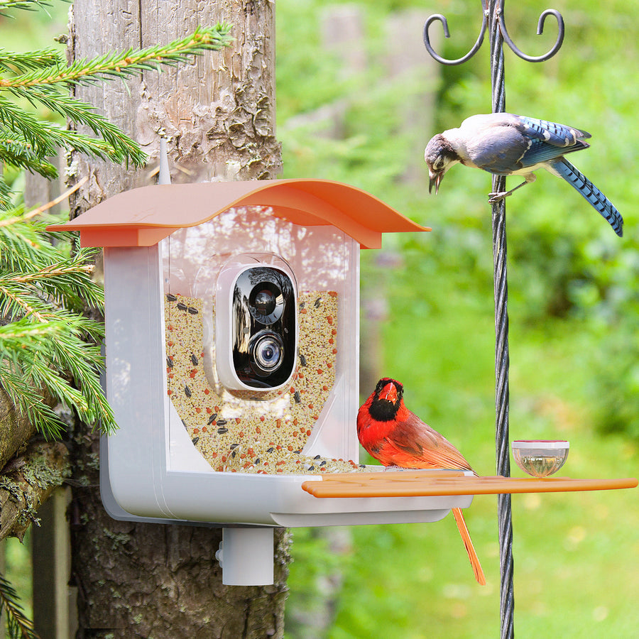 PerchMe Smart Bird Feeder – 2K AI Camera, Solar Power & Auto Capture