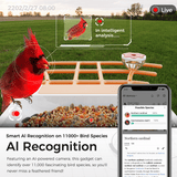 PerchMe Smart Bird Feeder – 2K AI Camera, Solar Power & Auto Capture, view 6