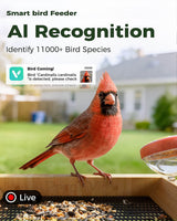 PerchMe® Bamboo Smart Bird Feeder with 2K AI Camera – FSC-Certified, Solar Powered, Eco-Friendly Gift for Bird Lovers (64G SD Card Included), view 5