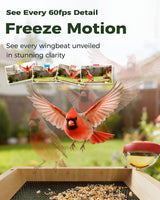 PerchMe® Bamboo Smart Bird Feeder with 2K AI Camera – FSC-Certified, Solar Powered, Eco-Friendly Gift for Bird Lovers (64G SD Card Included), view 6
