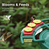 Perchme Hummingbird Feeder Perch, Compatible with Perchme, Attract Hummingbirds, Ideal Gift for Hummingbird Lovers, view 4