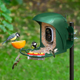 Perchme Hummingbird Feeder Perch, Compatible with Perchme, Attract Hummingbirds, Ideal Gift for Hummingbird Lovers, view 6