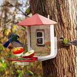 PerchMe Smart Bird Feeder with AI Camera & Solar Panel (Vermillion & Azure Canopy), view 2