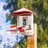 PerchMe Smart Bird Feeder with AI Camera & Solar Panel (Vermillion & Azure Canopy), view 3