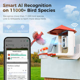 PerchMe Smart Bird Feeder with AI Camera & Solar Panel (Vermillion & Azure Canopy), view 6