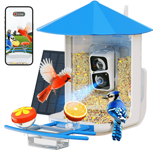 PerchMe Smart Bird Feeder with AI Camera & Solar Panel (Vermilion & Azure Canopy)