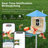 PerchMe Smart Bird Feeder with AI Camera & Solar Panel (Vermilion & Azure Canopy), view 5