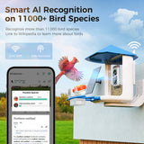 PerchMe Smart Bird Feeder with AI Camera & Solar Panel (Vermilion & Azure Canopy), view 6