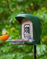 PerchMe Smart Bird Feeder - 2K AI Camera, Solar Power, Perfect Gift for Parents, view 2