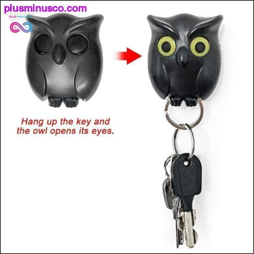 Plus Minus Co 1 PCS Black Night Owl Magnetic Wall Key Holder Magnets Keep