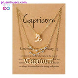 Plus Minus Co 3Pcs/Set Cardboard Star Zodiac Sign Pendant 12 Constellation, view 6