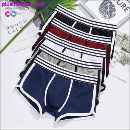 Plus Minus Co 4 pcs/lot Men Underwear boxer cotton Cuecas Boxers Mens