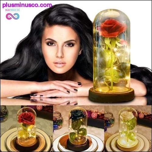 Plus Minus Co Beauty and the Beast Red Rose in a Glass Dome with LED Light