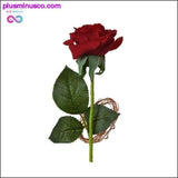 Plus Minus Co Beauty and the Beast Red Rose in a Glass Dome with LED Light, view 2